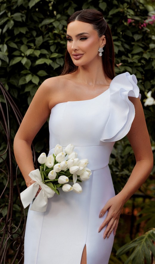 17819628241272ph-2.jpg